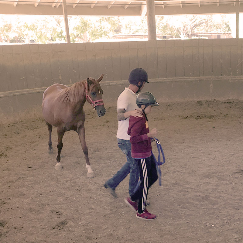 Monty Roberts Certified Instructor does guided Join-Up with participant in Lead-Up California program