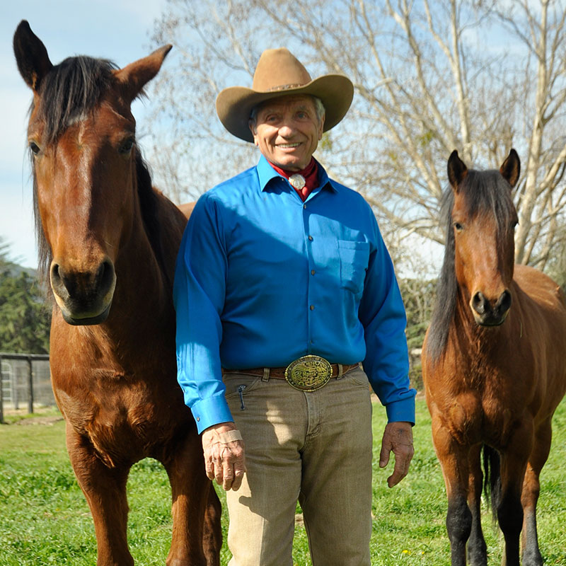 Monty Roberts with mustangs at Flag Is Up Farms, Solvang, California