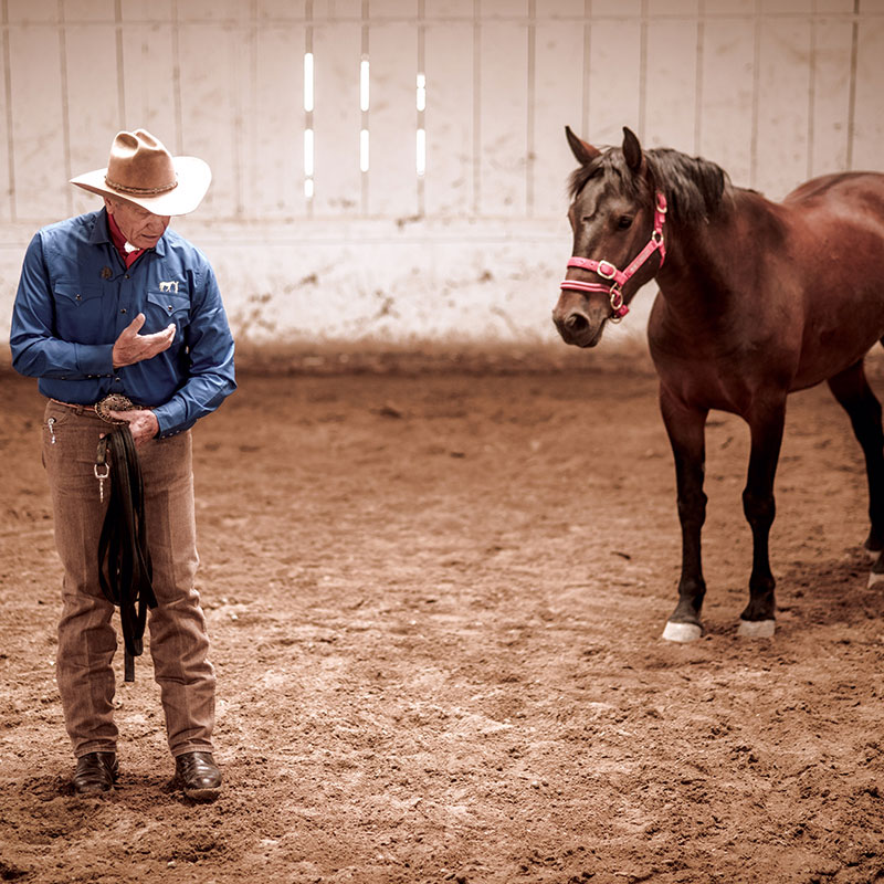 Monty Roberts the moment of Join-Up with a horse