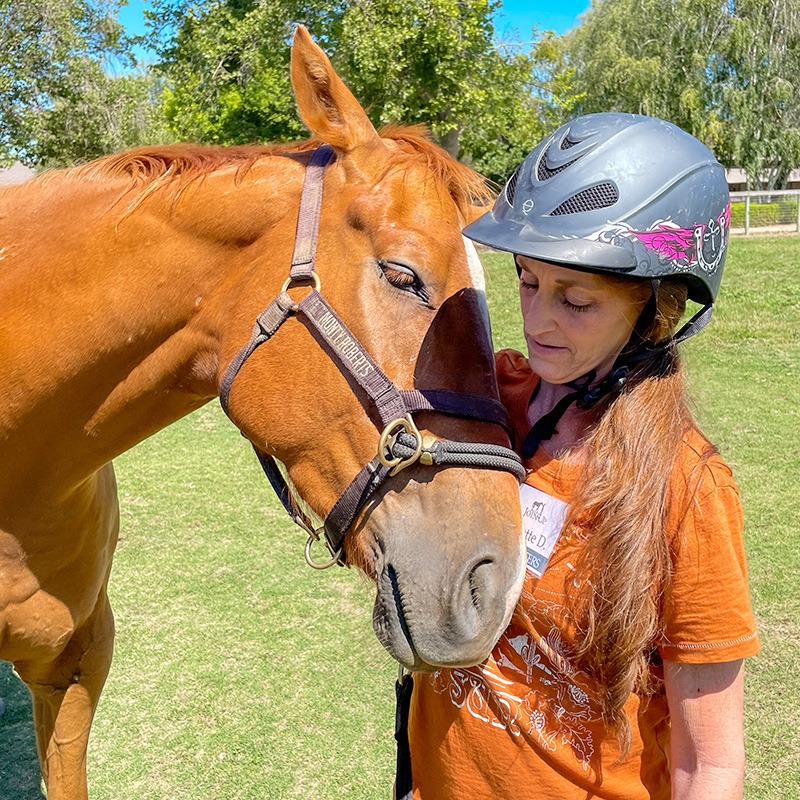 A participant meets Eomer, one of our transition horses
