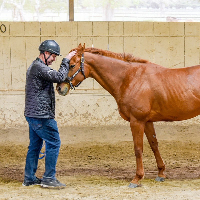 Fired-Up participant leads horse through cross bucks