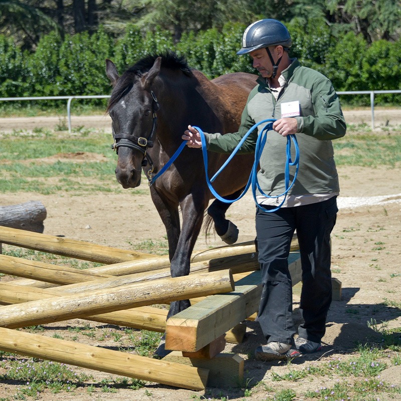 Fired-Up participant leads horse through cross bucks