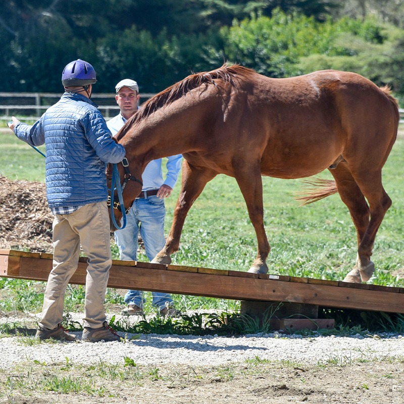 Fired-Up participant learns to navigate obstacles