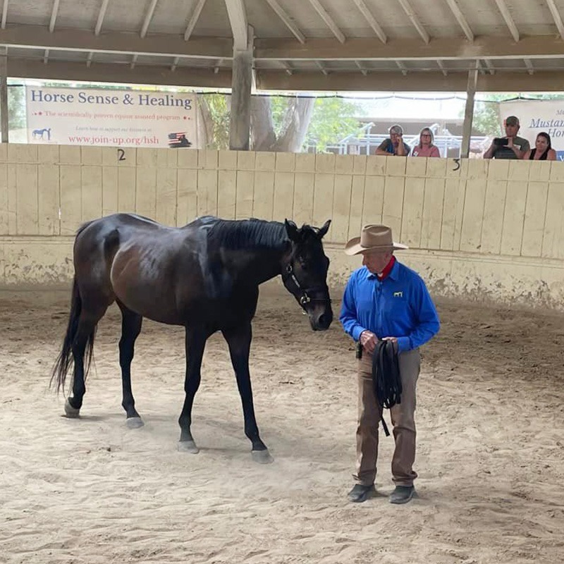 Monty Roberts - Join-Up demonstration at a Fired-Up retreat