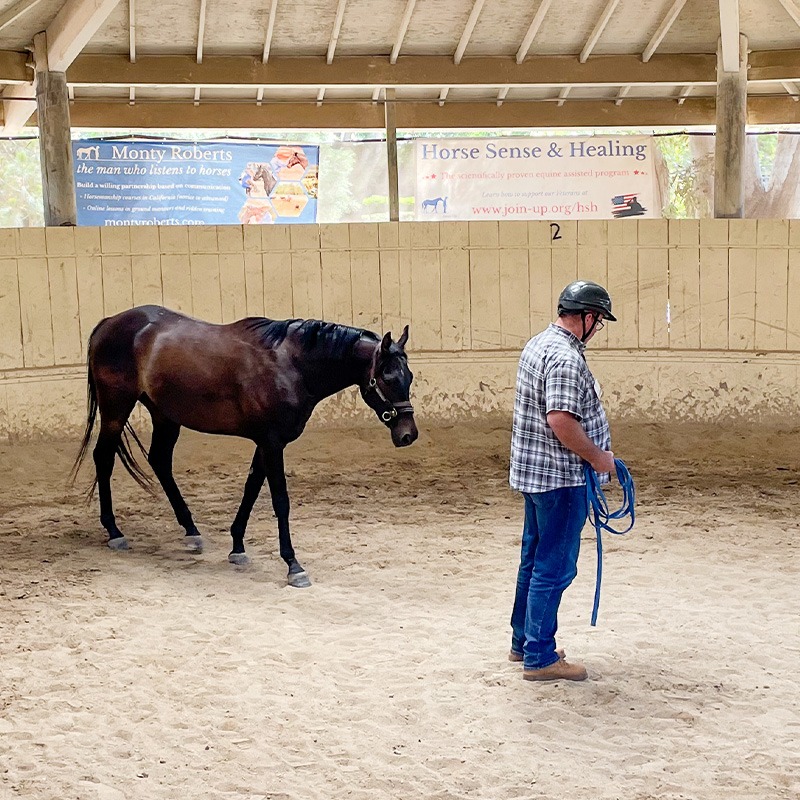 Fired-Up participant leads horse through cross bucks