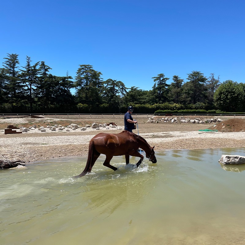 Fired-Up participant leads horse through cross bucks