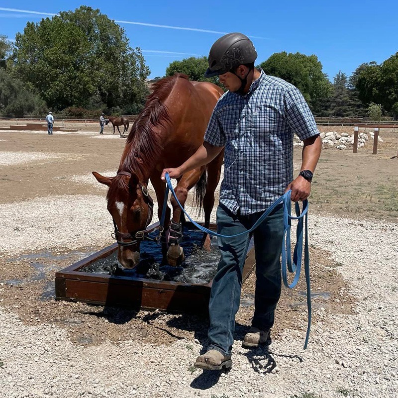 A participant meets Eomer, one of our transition horses