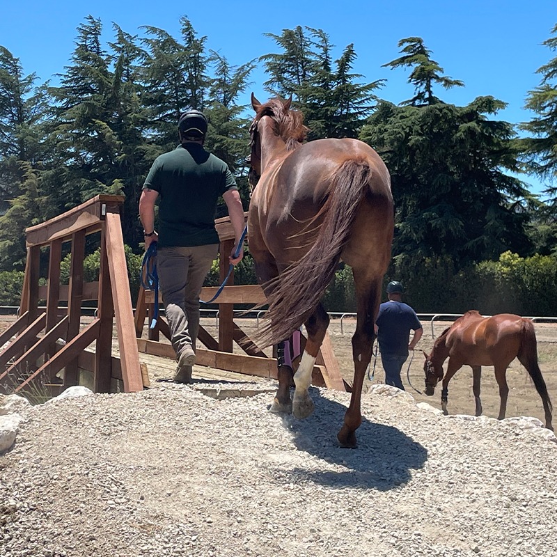 Fired-Up participant learns to navigate obstacles